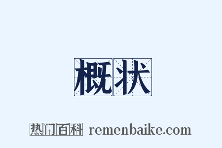 概状是什么意思的图片